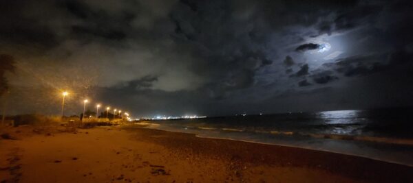 LA MAR DE LLUNES (novembre-24)