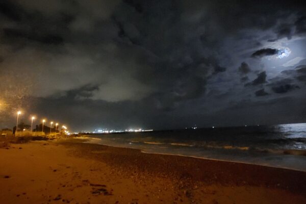 LA MAR DE LLUNES (novembre-24)