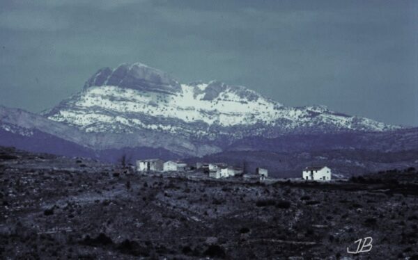 “La cucala”. Enric Roncero i Penyagolosa